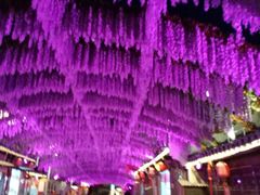 -婺源梦里老家大型山水实景演出