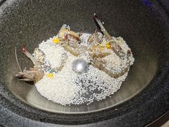 鲜虾鲍鱼粥-船梆煮•蒸汽海鲜·炉火烤肉(五四广场店)