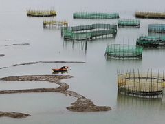-北岐滩涂