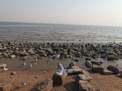 -深圳湾公园(南山区)