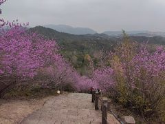 -天台山赤城山景区