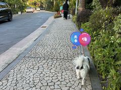 -广州锦绣香江度假别墅