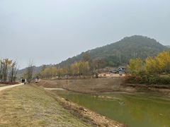 -千年银杏谷文化旅游区