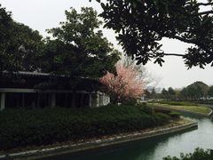 -蠡湖大桥公园