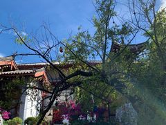 -88号小吃店·经典云南菜·地道纳西美食