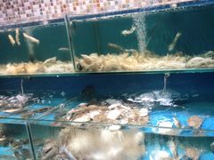 -港畔赶海蒸汽海鲜烧烤自助(仙螺岛店)