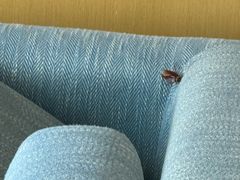 -上海静安洲际酒店