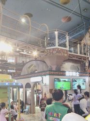 -卡通尼·Safari非洲探索乐园·生日会(金桥国际商业广场店)