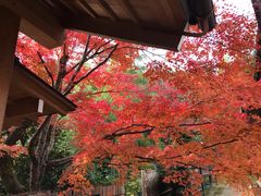 -常寂光寺