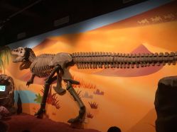 -北京科学中心儿童乐园