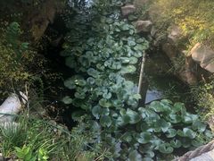 -深业半汤御泉庄温泉