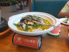 -饭怕鱼(阳光100店)