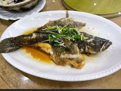 -百丈园龙江啫神馆