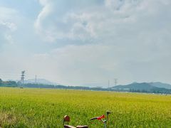 -崖口云吞(中堡店)