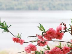 -河口景区