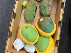 -新鸿港水果市场