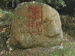 -杏花村文化旅游区