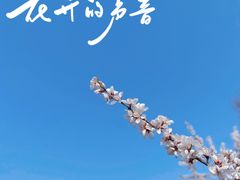 -国家植物园