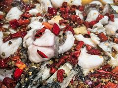 -金三可市井水煮鱼(金碧园店)