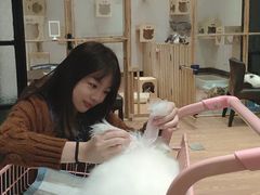 -猫色咖啡·猫咖