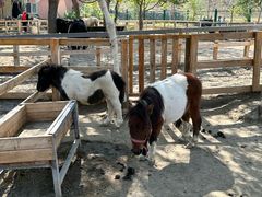 -水上乐园·欢乐世界