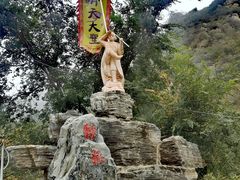 -大岭沟猕猴桃谷风景区