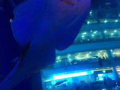 -成都浩海立方海洋公园