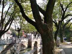 -锅来乐地锅鸡(安亭店)