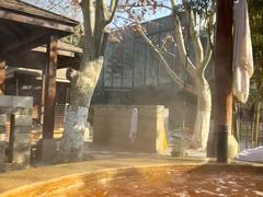 -春晖园度假酒店温泉