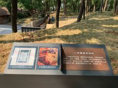 -马王堆汉墓遗址