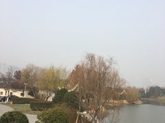 -尚贤河湿地