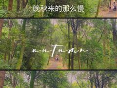 -西湖风景区十里琅珰-五云山