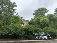 -秦皇岛野生动物园