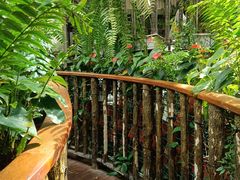 -正佳雨林生态植物园