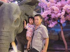 -珠海横琴长隆《卡卡虎奇遇记》