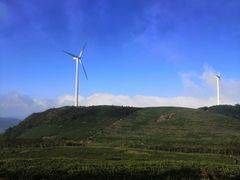 -东白山