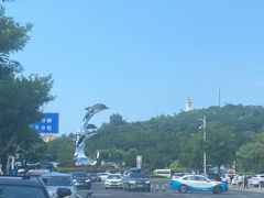 -蓬莱欧乐堡海洋极地世界