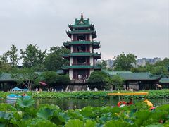 -桂湖森林公园