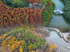 -上海海湾国家森林公园