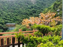 -黄腾峡天门悬廊