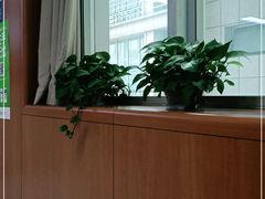 -重庆医科大学附属第一医院(金山院区)