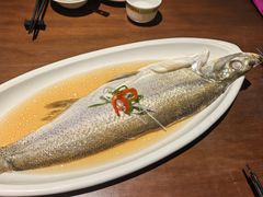 古法炖糟白水鱼-人和馆·上海菜(徐汇店)