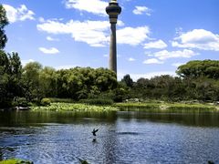 -中央广播电视塔