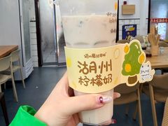 -猫的魔法密林(衣裳街店)