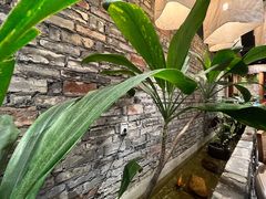 -茶理宜世(京溪店)