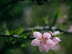 -白塘生态植物园