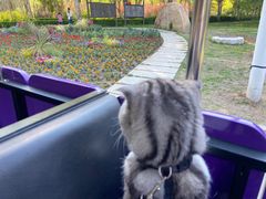 -长春公园(普阳街道)