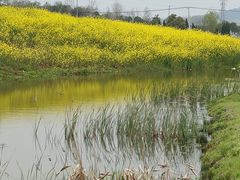 -冶山国家矿山公园