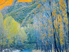 -百里山水画廊