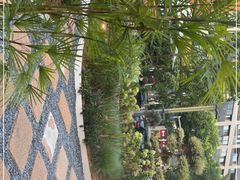 -翠贝卡&Mama Kelly Brunch Coffee(河西店)